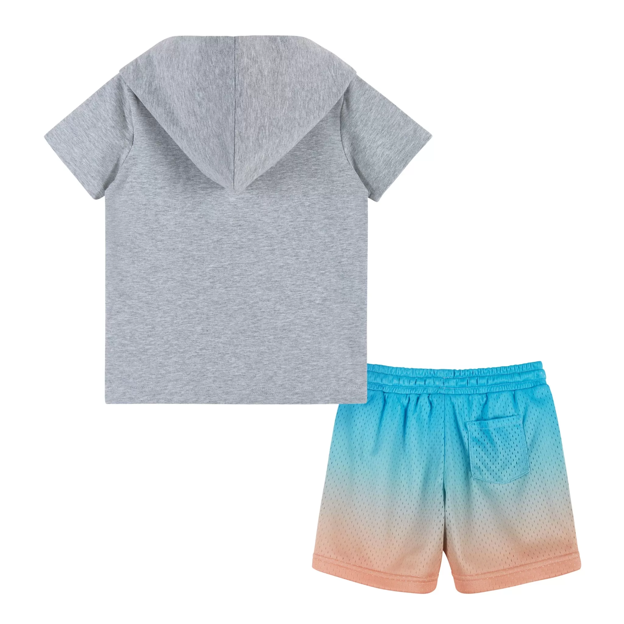 Tropical Dino Hooded Tee & Short Set | Gray