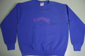 Wisconsin Vintage Nutmeg Mills Made in USA Blue Pink Block Spellout Crewneck 90's Sweatshirt